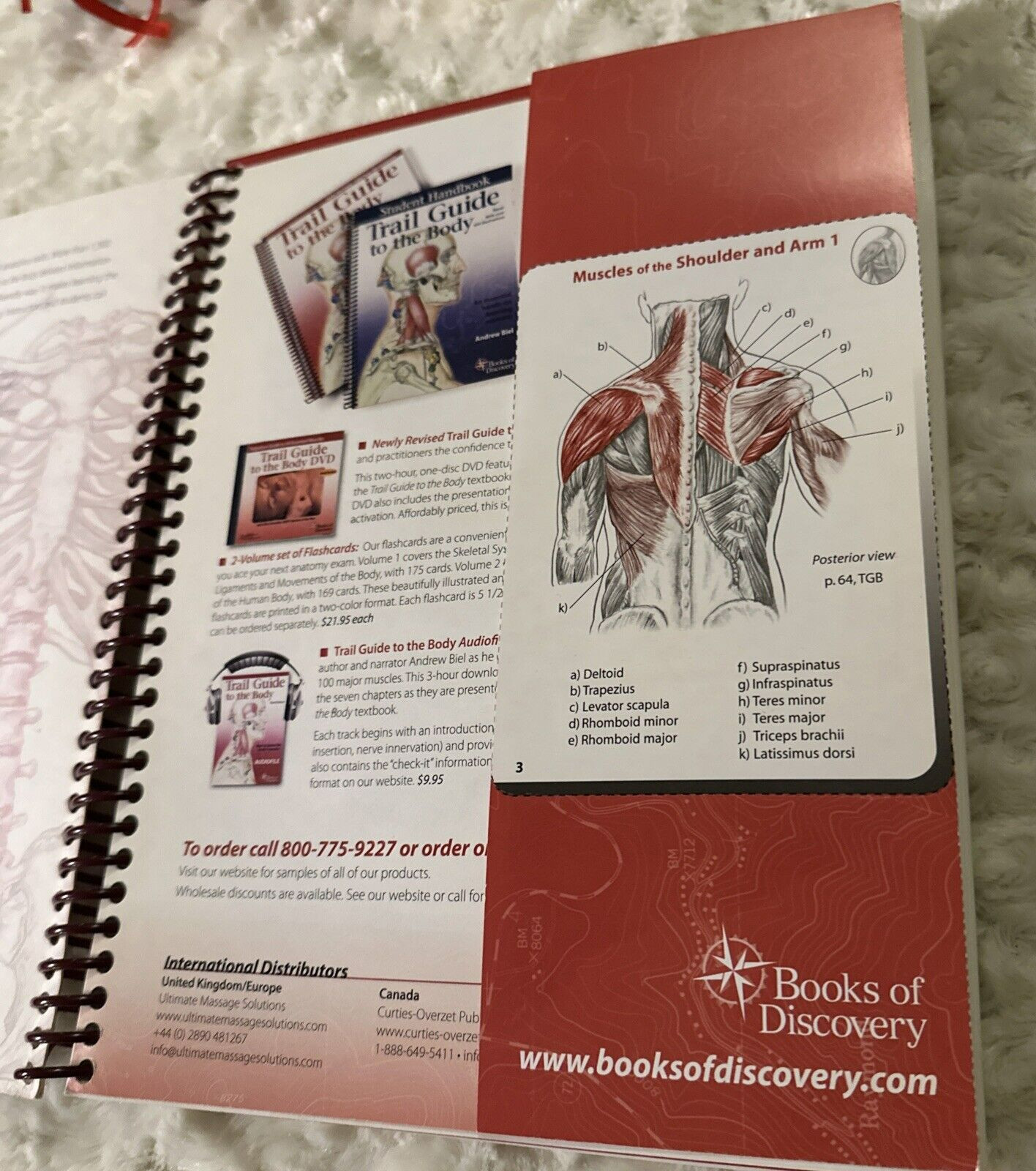 Trail Guide to the Body How to Locate Muscles Bones and More by Andrew Biel PB