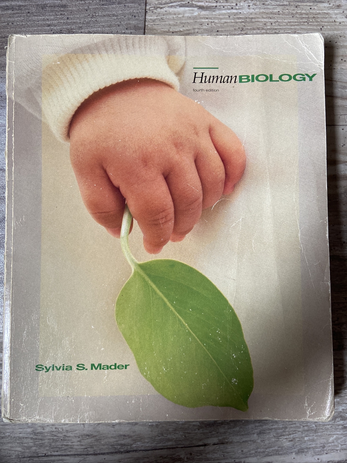 Student Study Art Notebook – Human Biology – And Student Study Guide