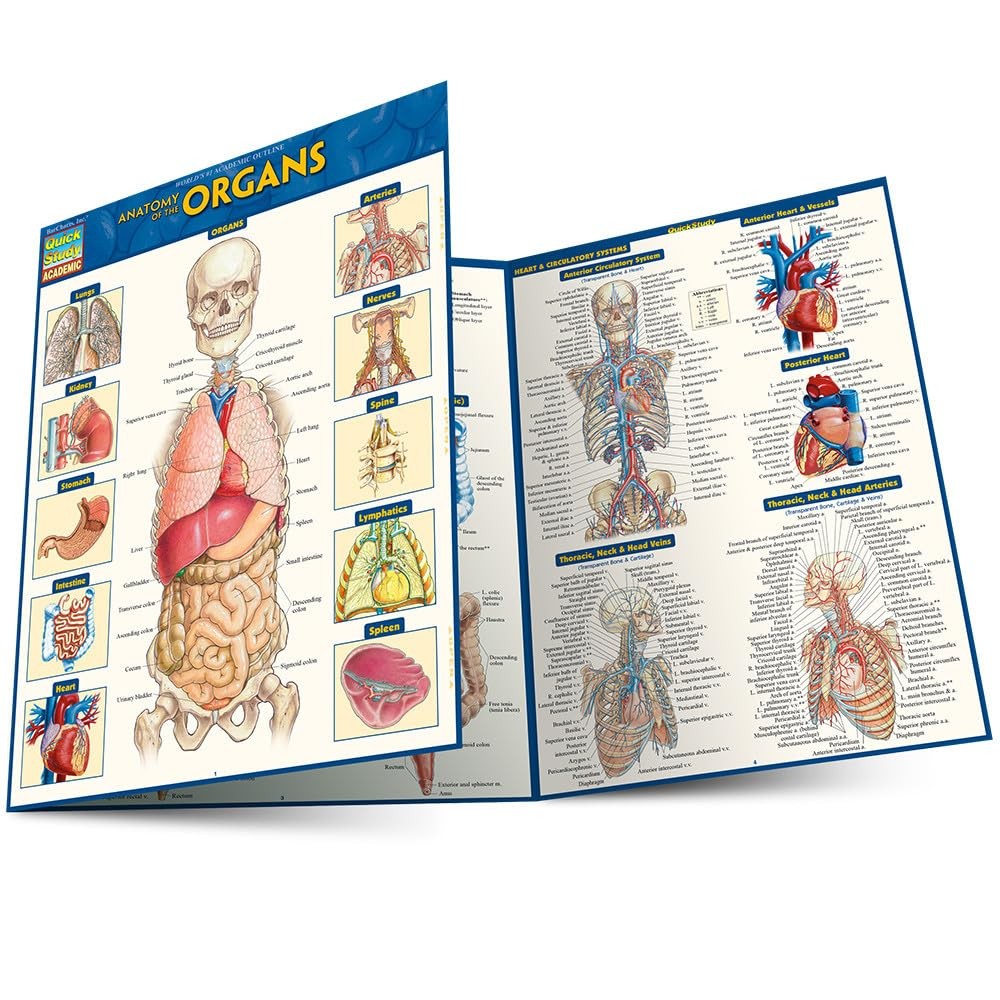 Anatomy of the Organs by Vincent Perez