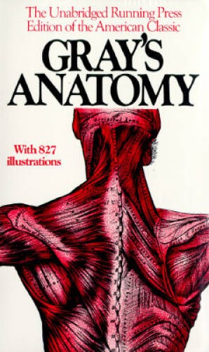 Anatomy, Descriptive and Surgical, 1901 Edition – Paperback – ACCEPTABLE
