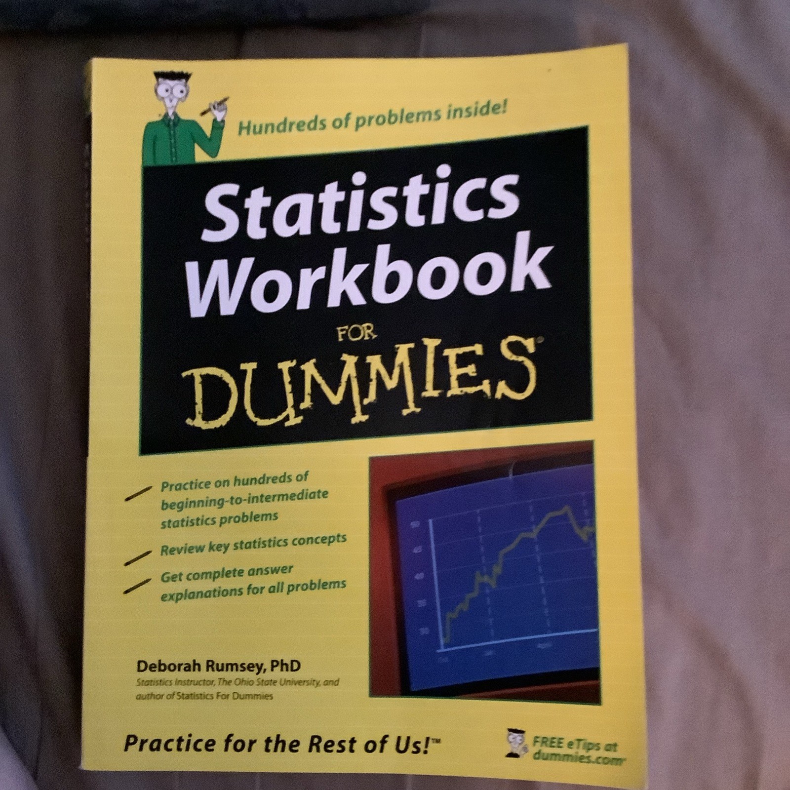 Statistics Workbook for Dummies by Deborah Rumsey (2005, Trade Paperback)