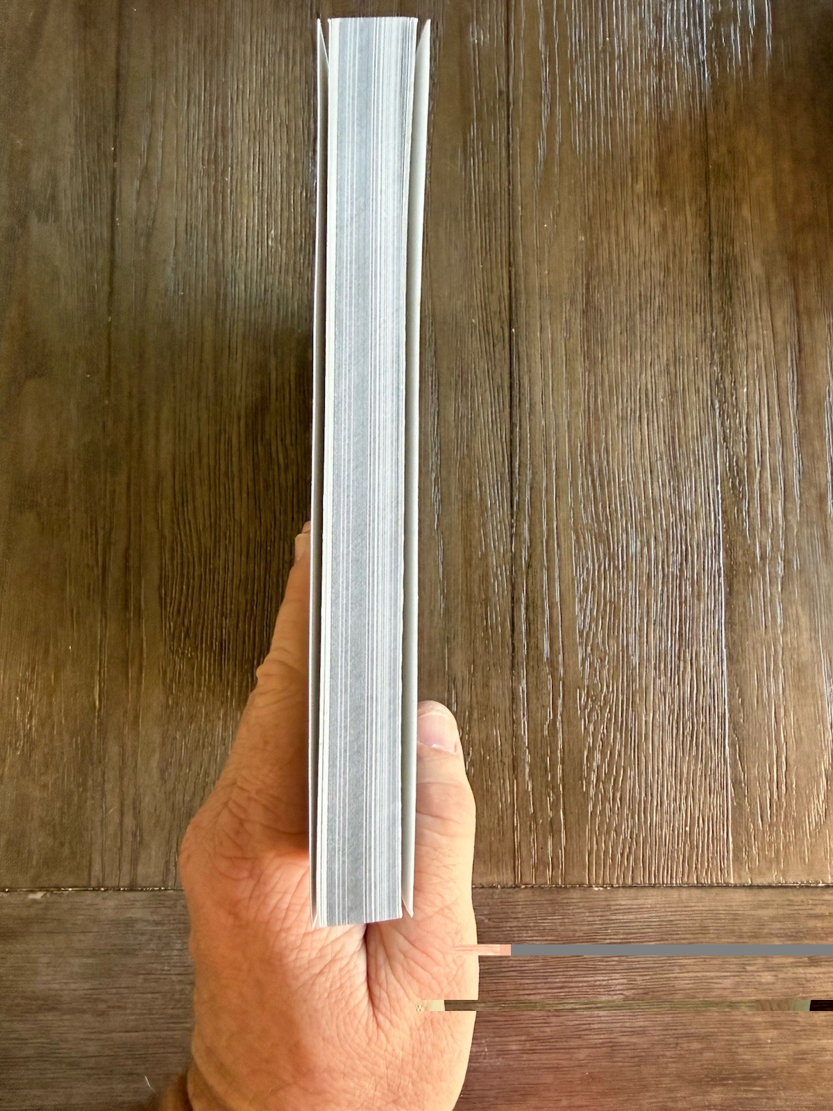 The Glass Stereviews of Ferrier & Soulier 1852-1908 – Softcopy
