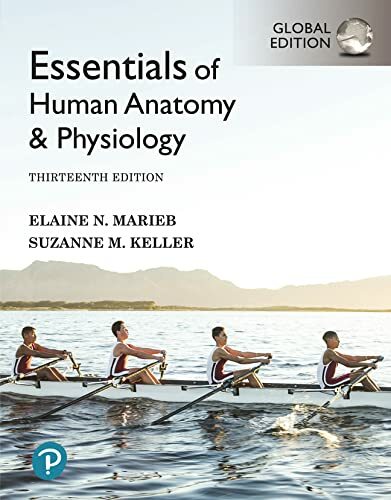 Essentials of Human Anatomy & Physiology 13th Edition 13e By Elaine Marieb