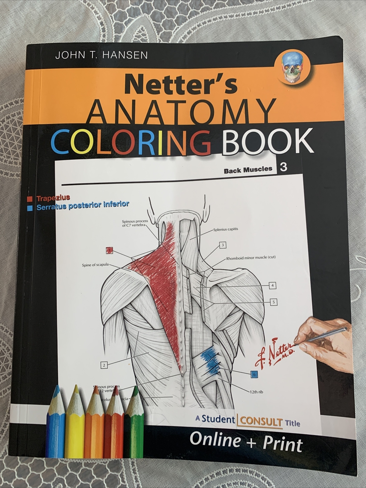 Netter Basic Science Ser.: Anatomy Coloring Book by John T. Hansen (2009, Trade