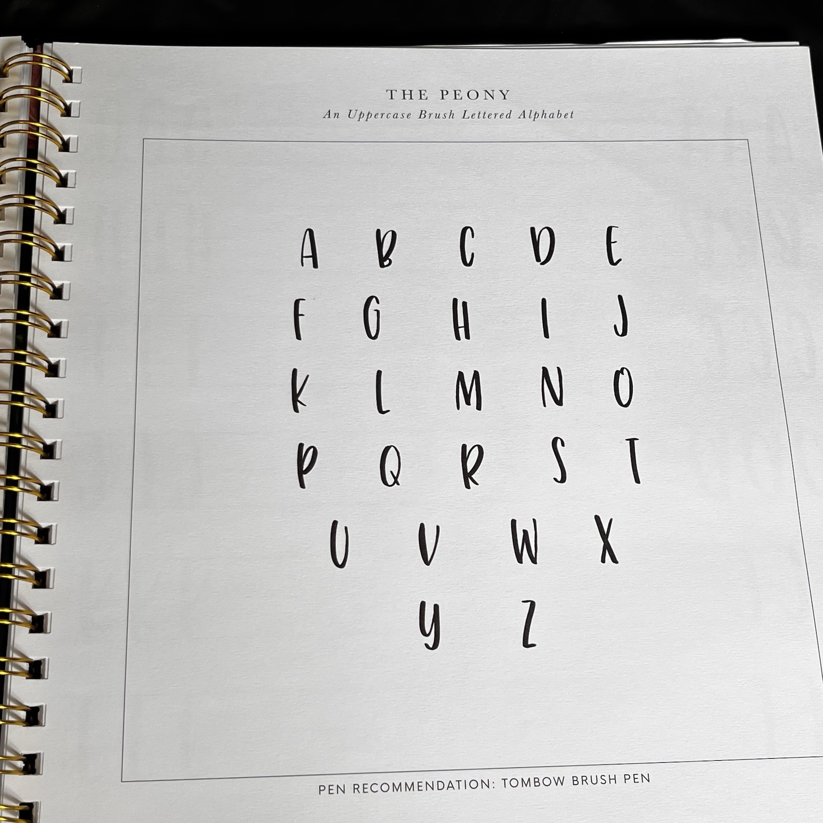 Pretty Simple Lettering: Modern Calligraphy & Hand Lettering for Beg – VERY GOOD