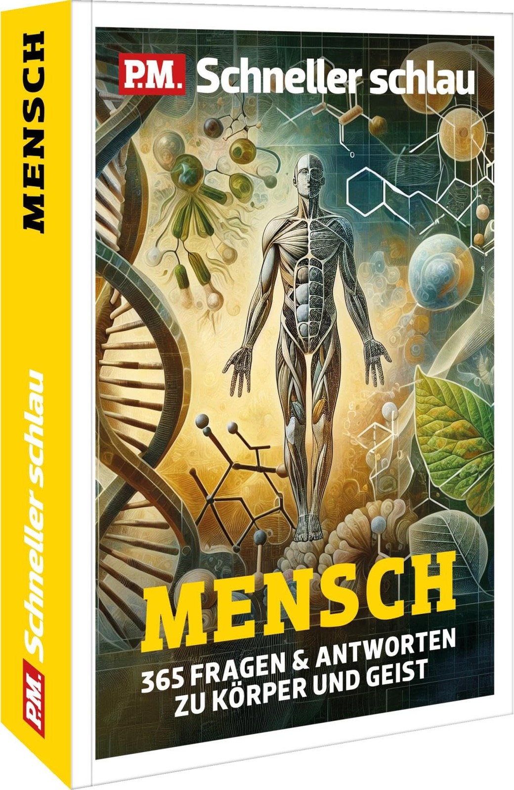 Katharina Jakob Rainer Harf P.M. Schneller Schlau MENSCH: (Hardback) (UK IMPORT)