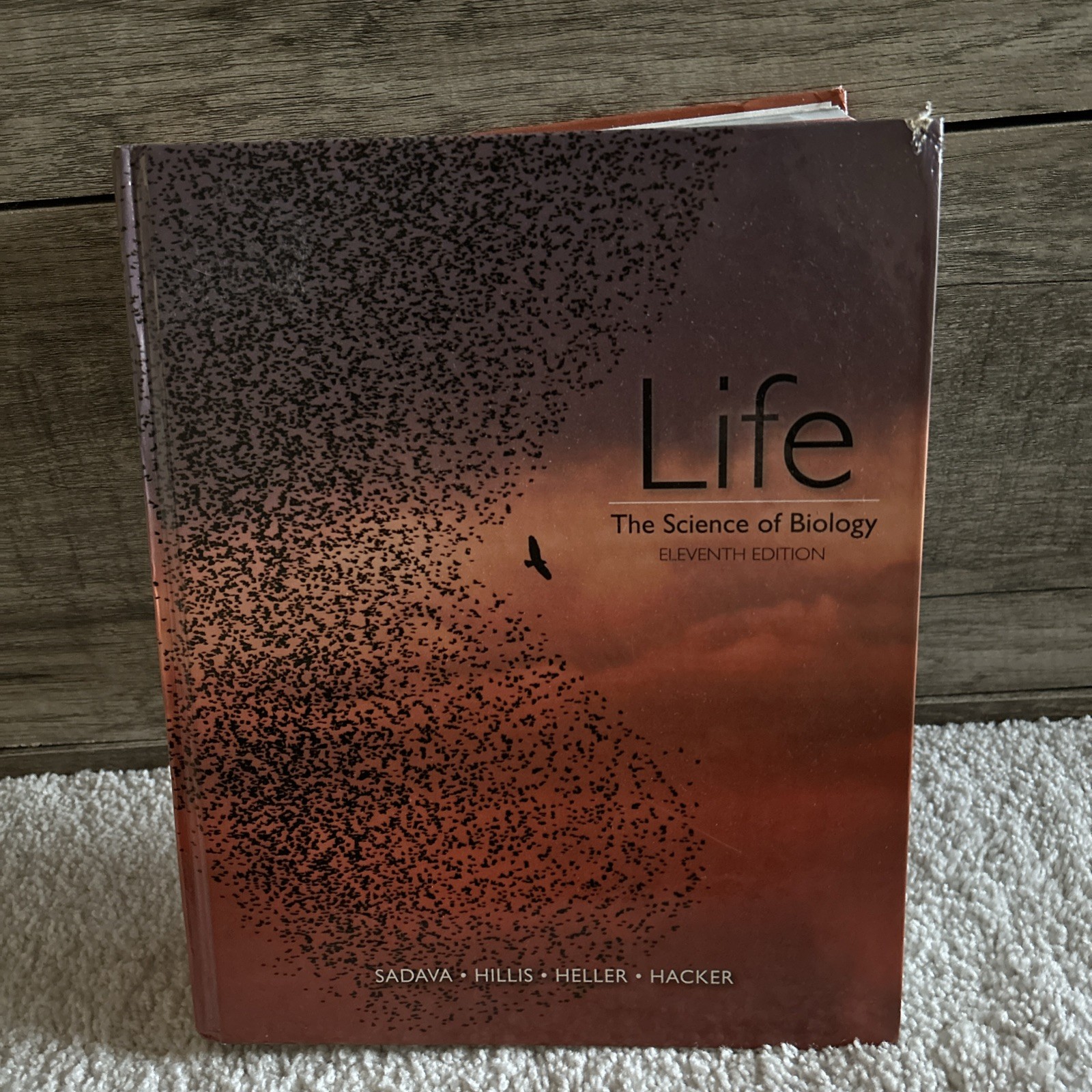 Life: The Science of Biology – Hardcover By Sadava, David E. – GOOD