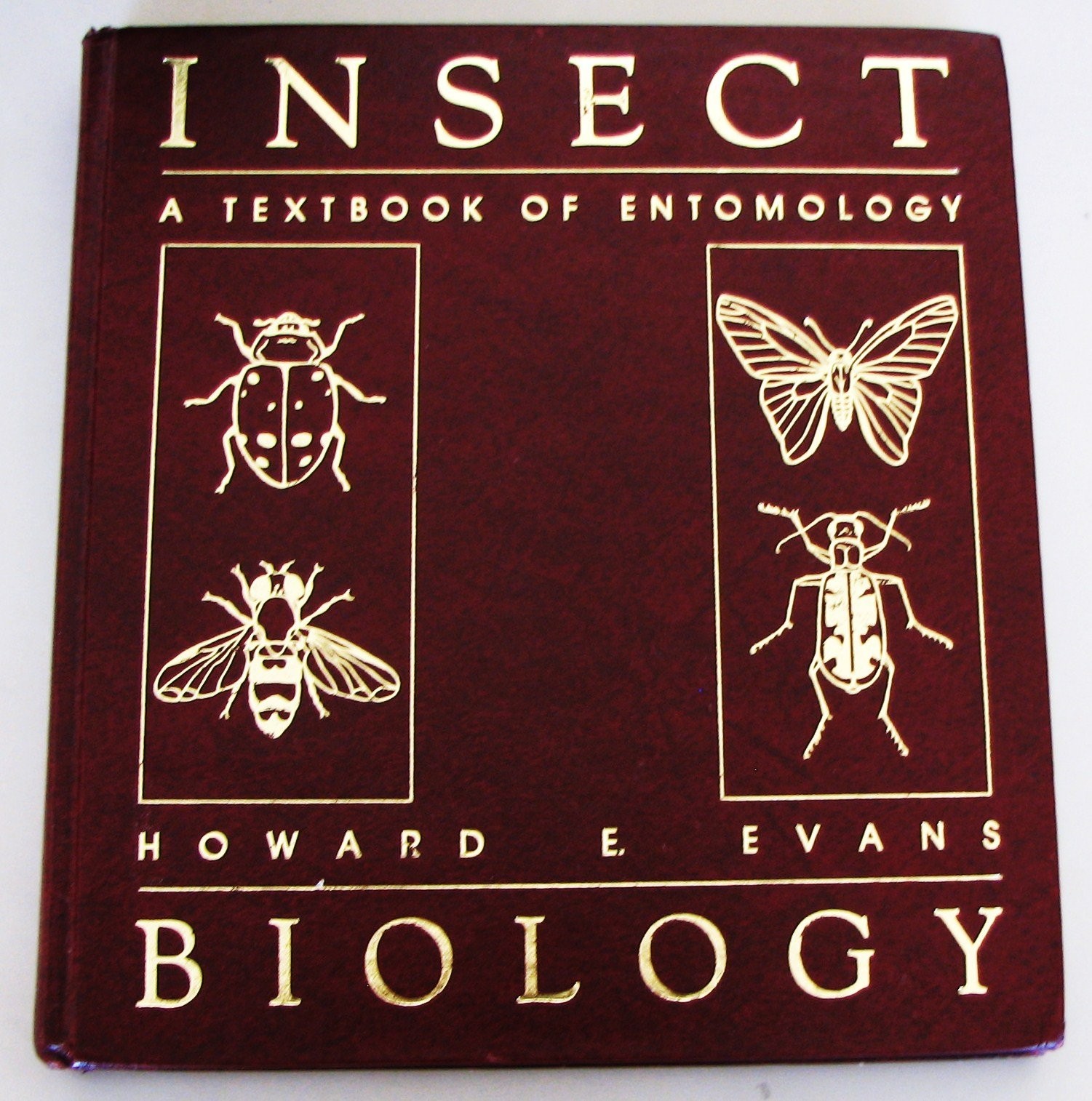 Insect Biology: A Textbook of Entomology