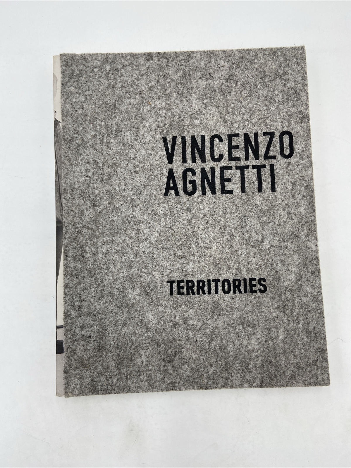 Vincenzo Agnetti : Territories by Karen Pinkus and Ara H. Merjian 2017