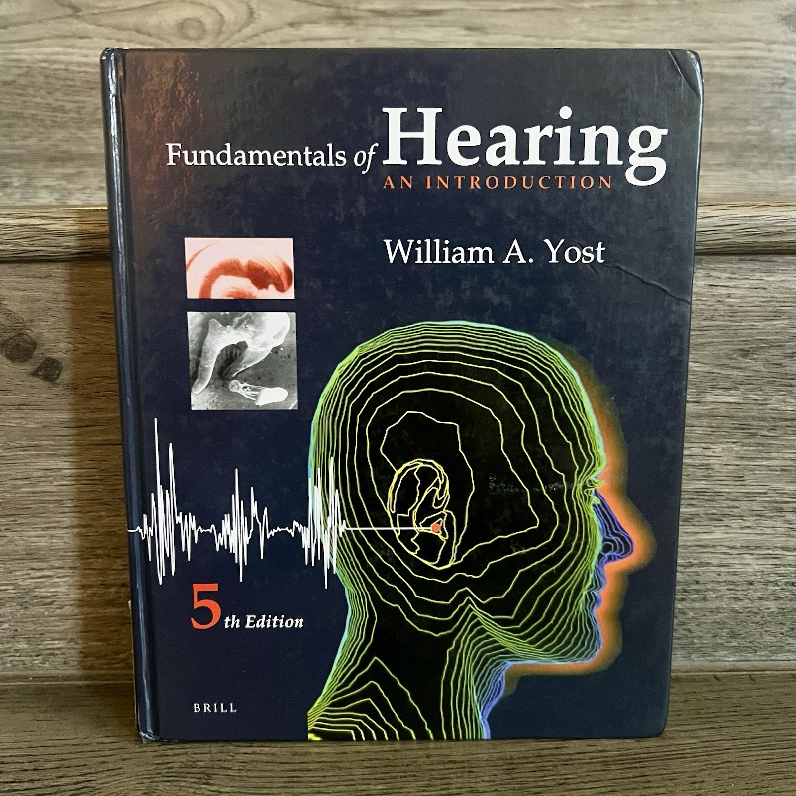 Fundamentals of Hearing: An Introduction by William Yost (Hardcover) 5th Edition