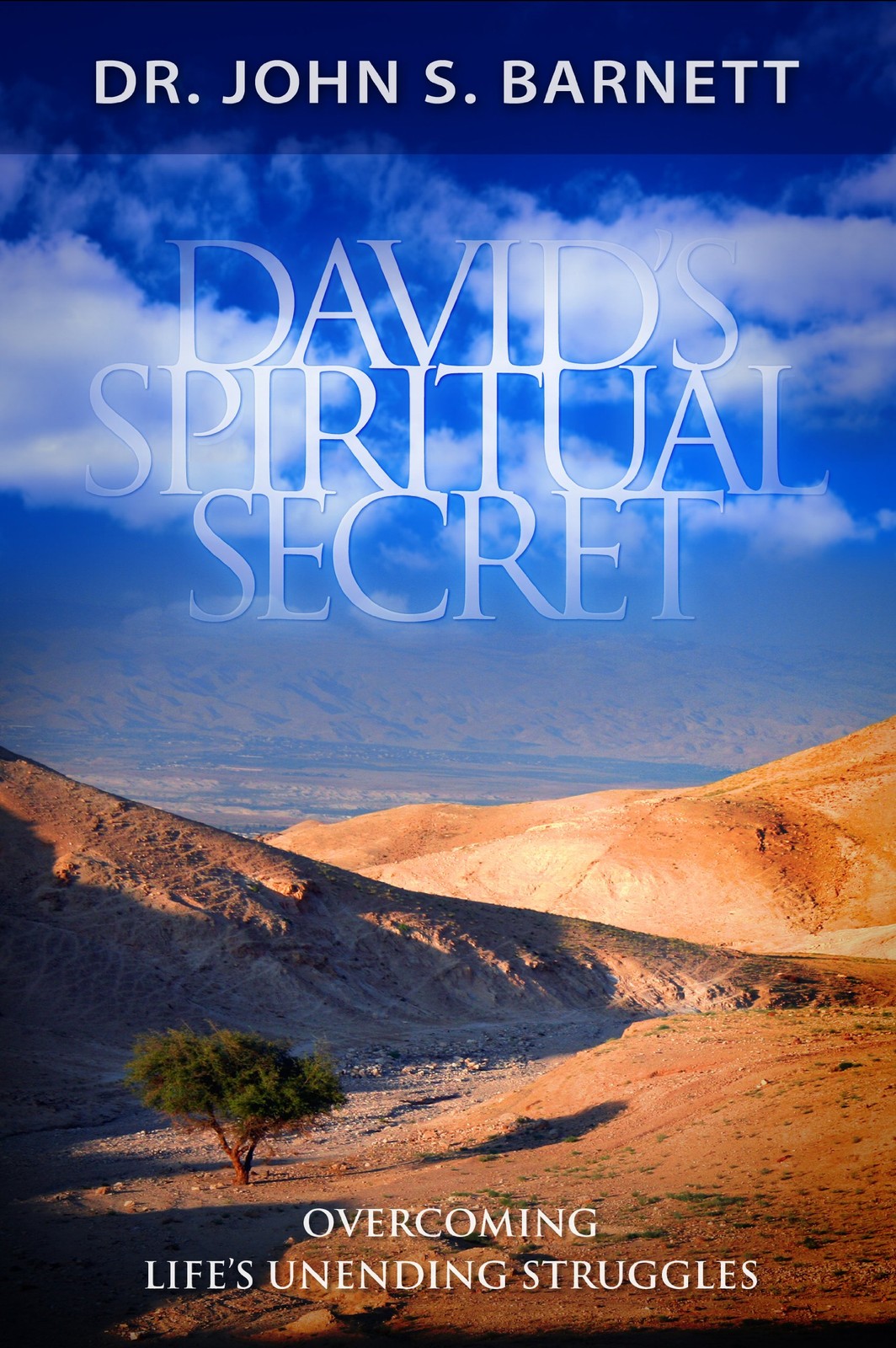 David’s Spiritual Secret–A Life That Serves God (Book)