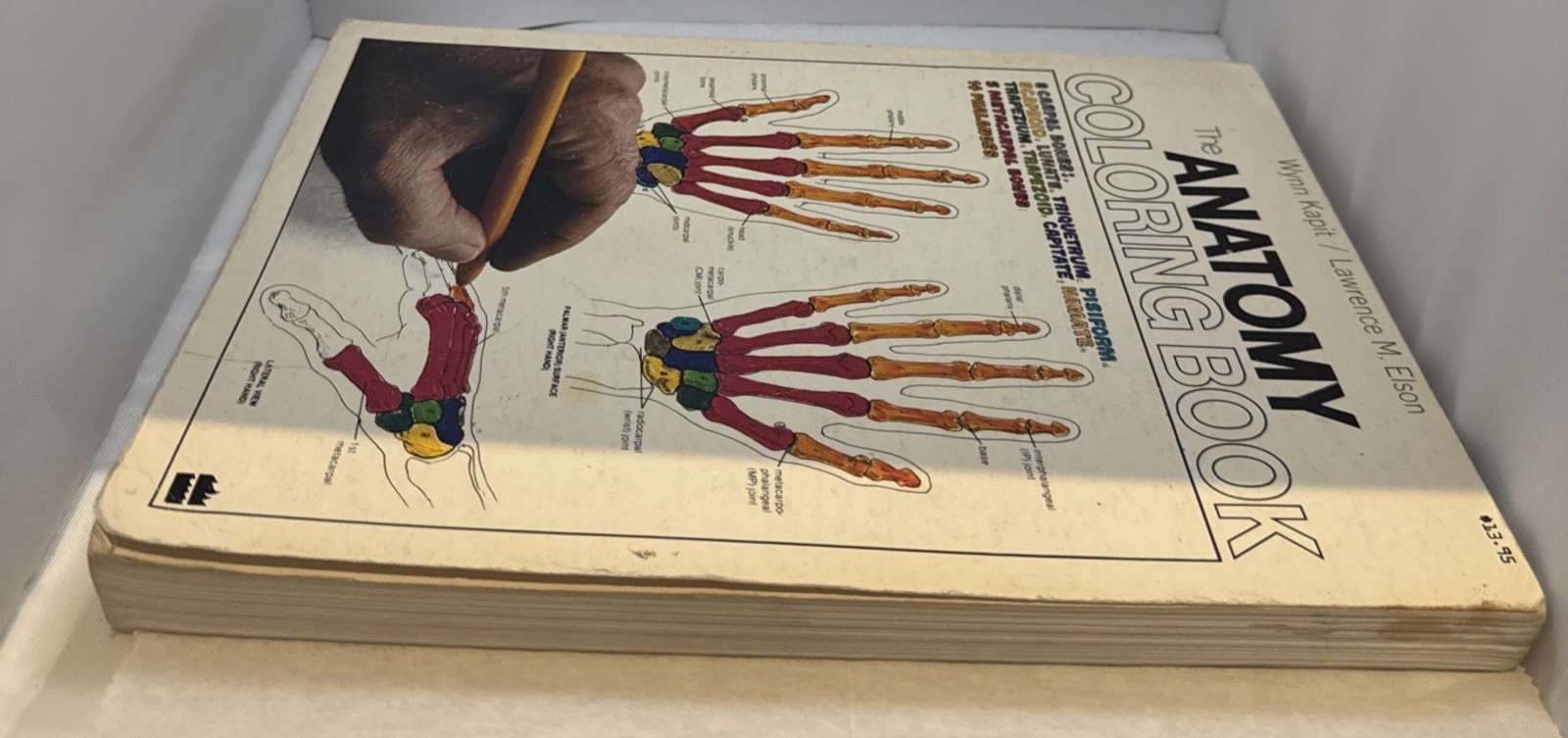 The Anatomy Coloring Book Paperback by Wynn Kapit Lawrence M. Elson – Spine Wear