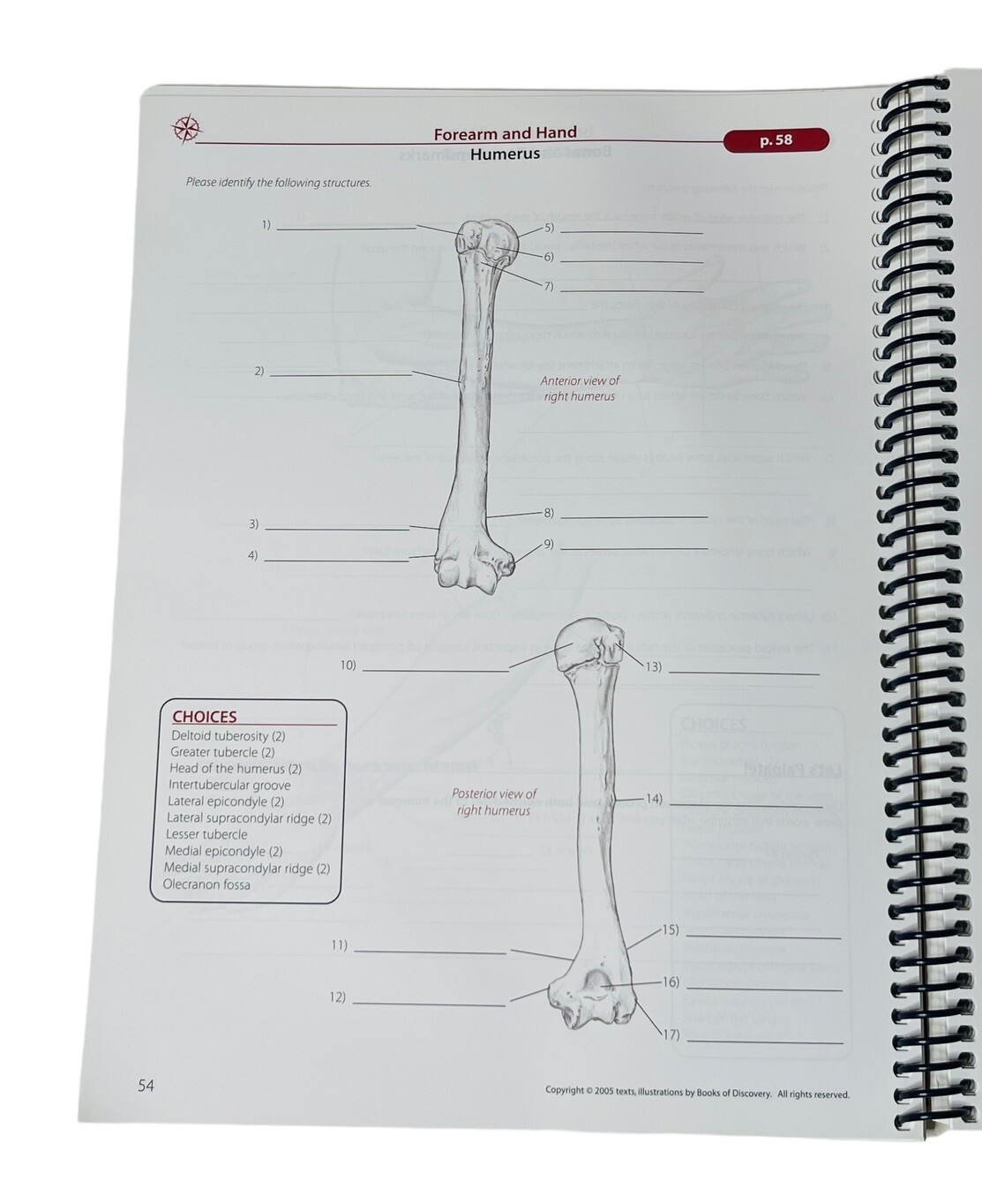 TRAIL GUIDE TO THE BODY STUDENT HANDBOOK ANDREW BIEL 2005 1st ED HANDS ON LEARN