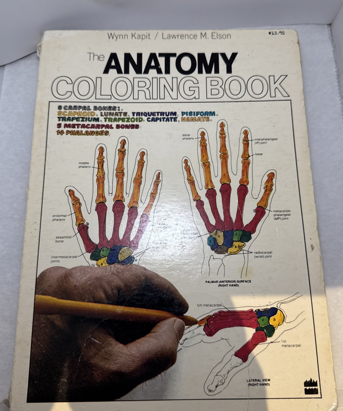 The Anatomy Coloring Book Paperback by Wynn Kapit Lawrence M. Elson – Spine Wear
