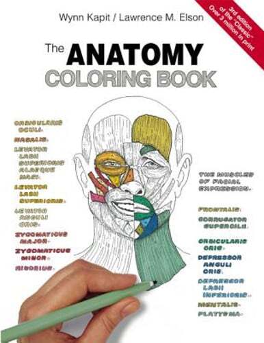 The Anatomy Coloring Book by Wynn Kapit: Used
