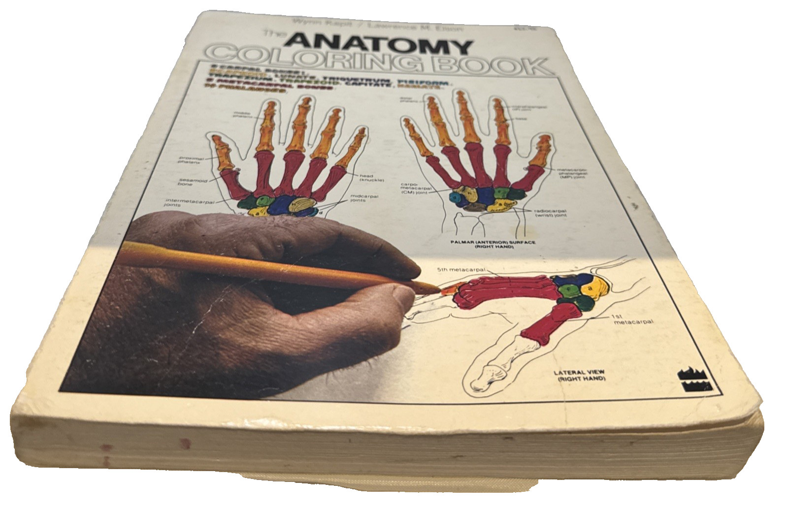The Anatomy Coloring Book Paperback by Wynn Kapit Lawrence M. Elson – Spine Wear