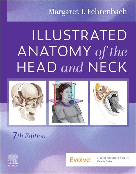 Anatomy of the Head and Neck, Paperback by Fehrenbach, Margaret J., Like New …